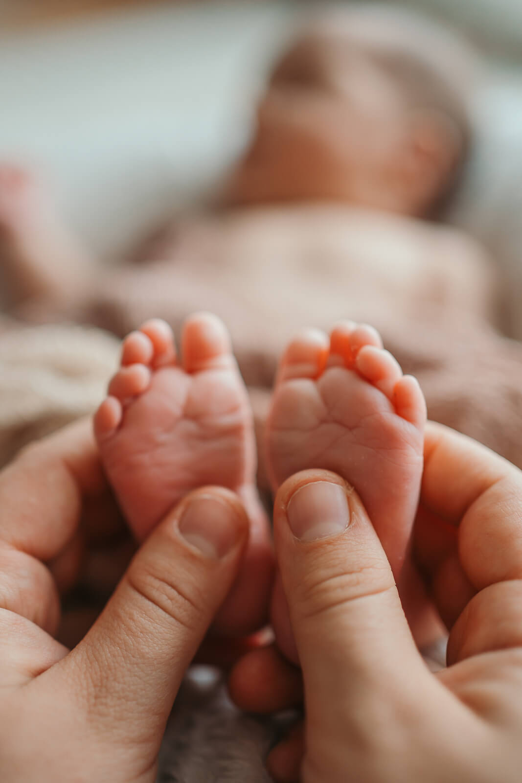 Babybauch & Newborn Shooting in Minden und Hameln